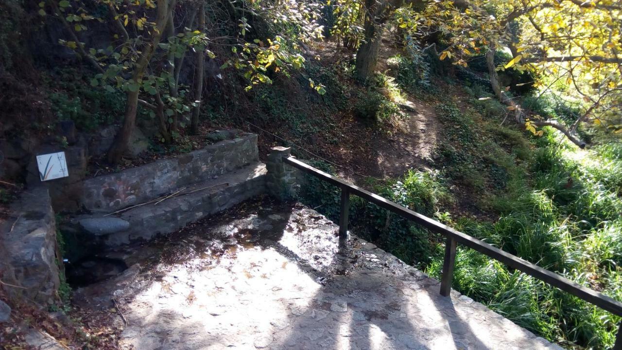 Apartament Rural Vilaplana 外观 照片