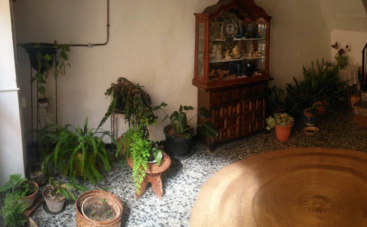 Apartament Rural Vilaplana 外观 照片